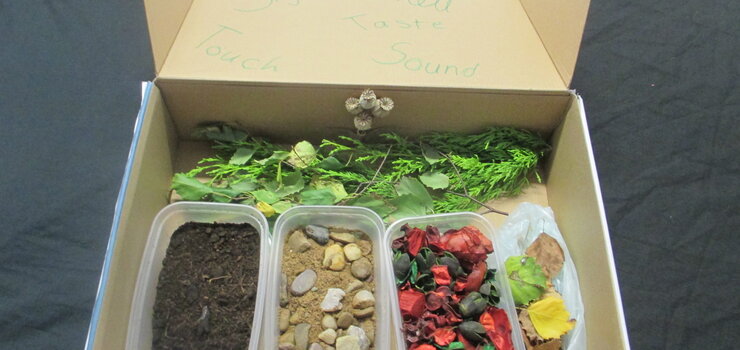 Image of Health and Social Care - Sensory Boxes